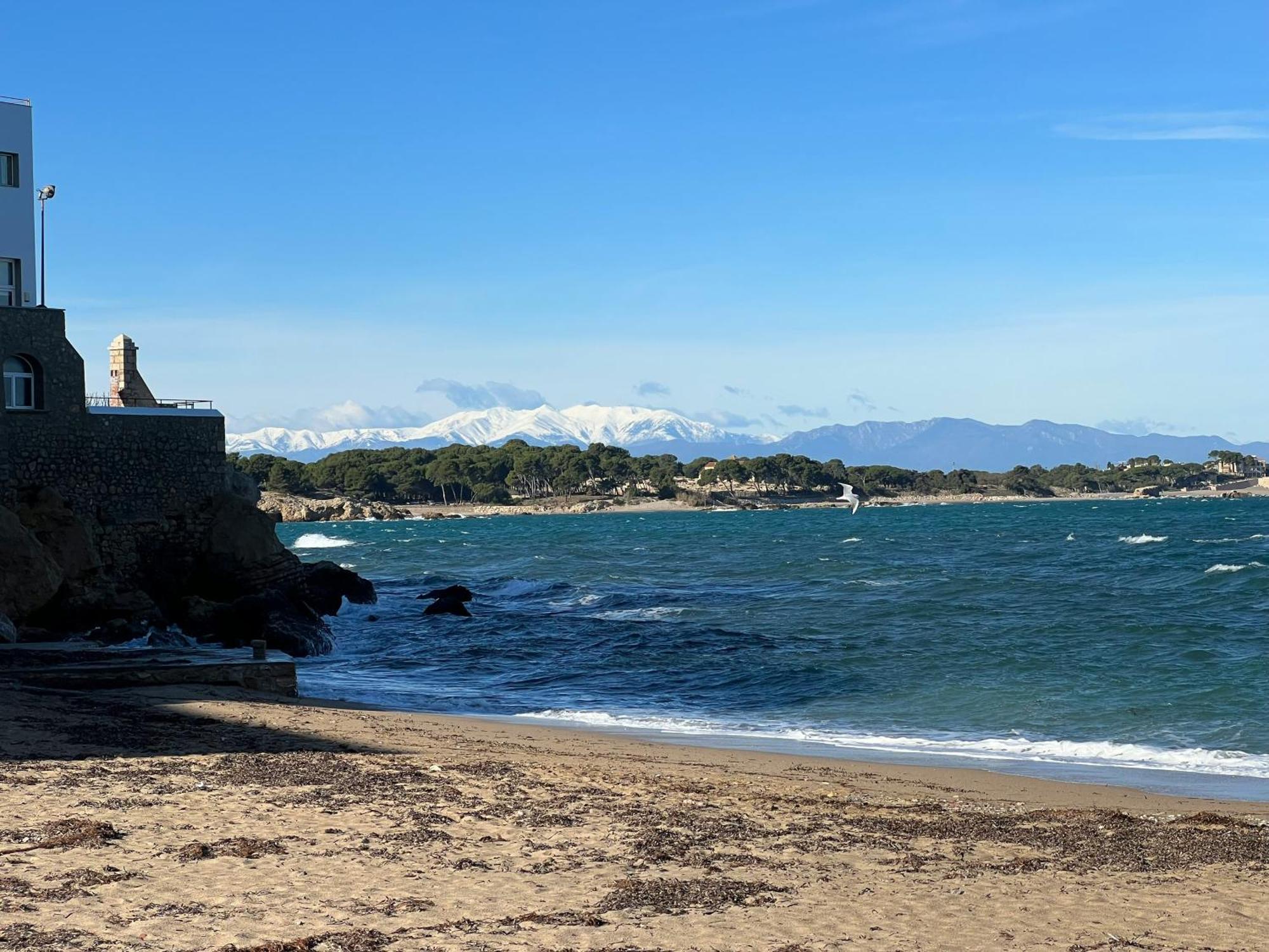Vive Tu Vida Sonada Delante Del Mar Lejlighed L' Escala Eksteriør billede